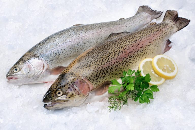 eating trout raw